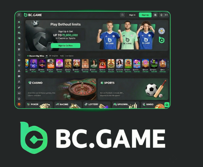 Common BC.Game Login Problems and Solutions -221355072